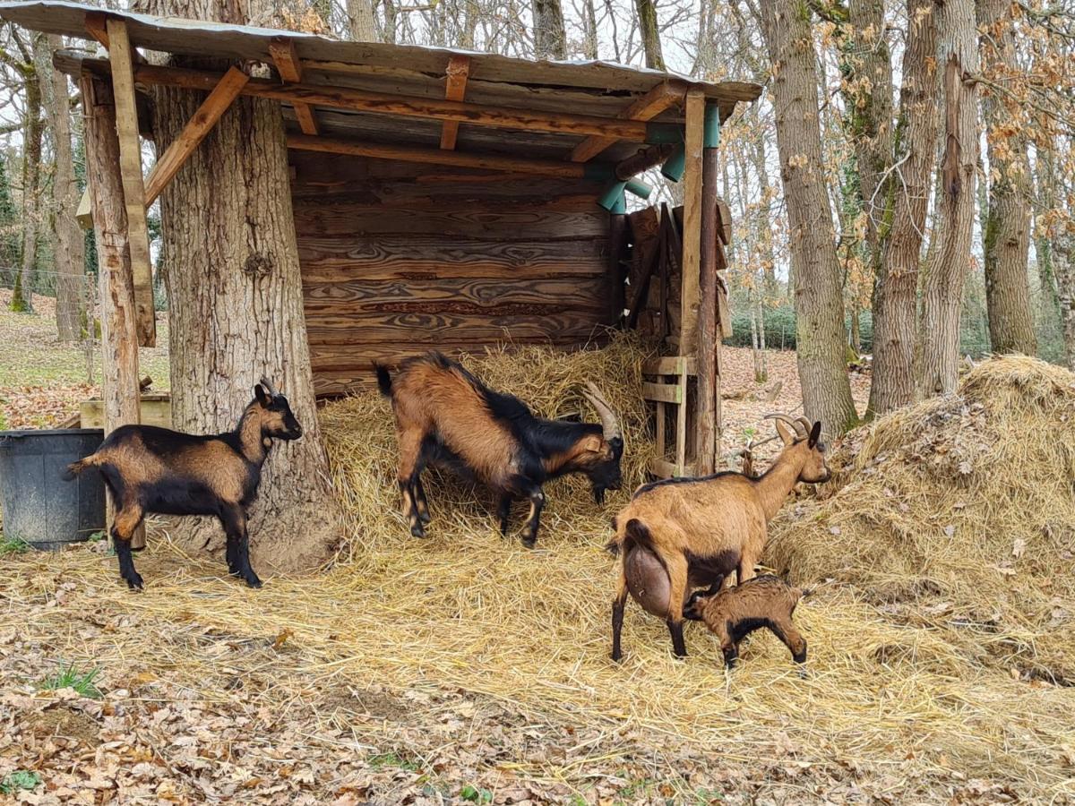 L Occitane Villa Gimont Buitenkant foto